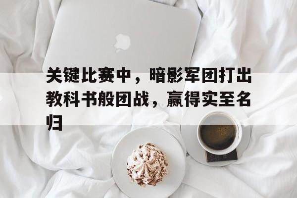 爱游戏体育在线入口-关键比赛中，暗影军团打出教科书般团战，赢得实至名归