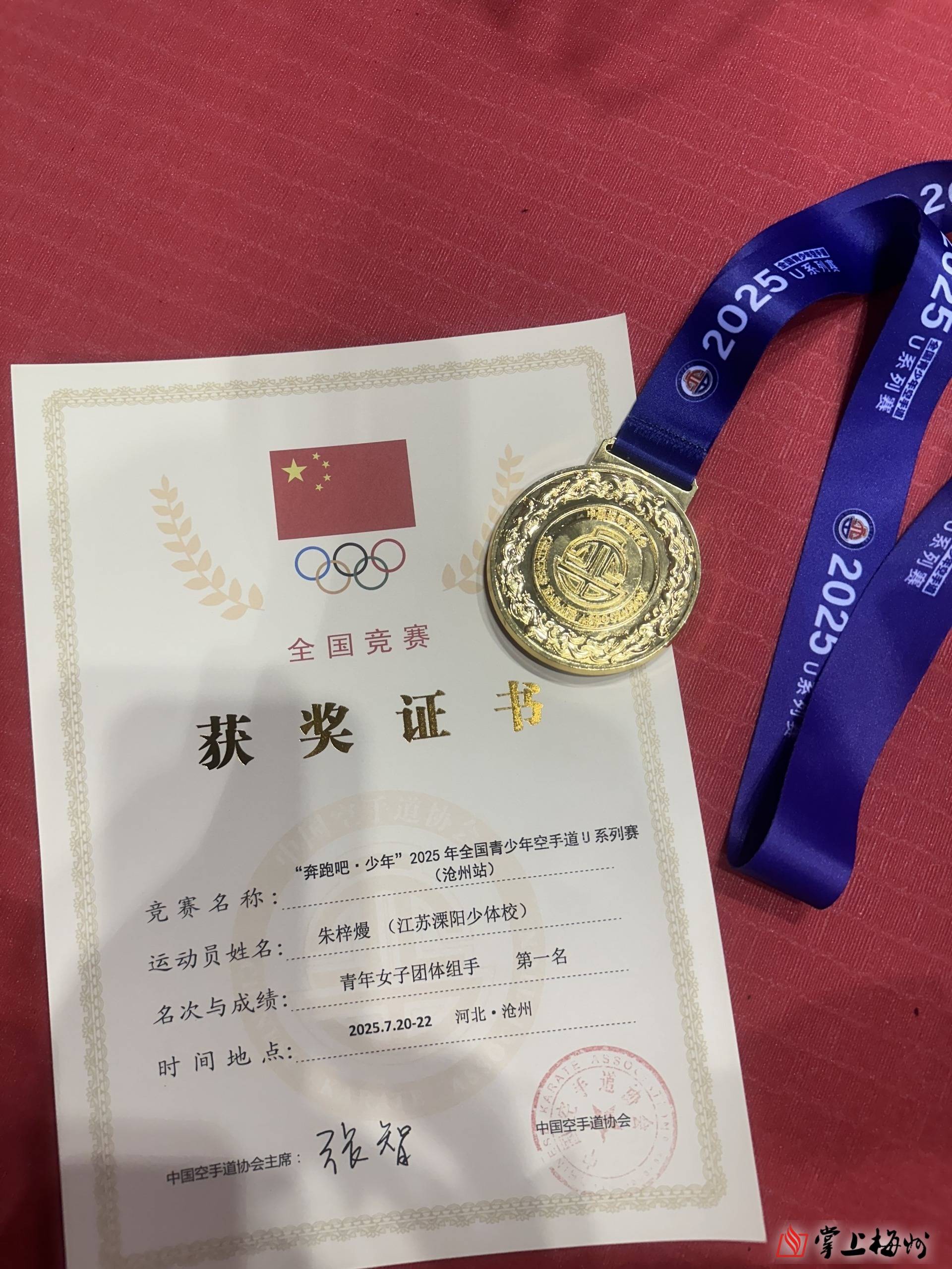 爱游戏体育官方-空手道比赛冠军产生，日本选手夺魁